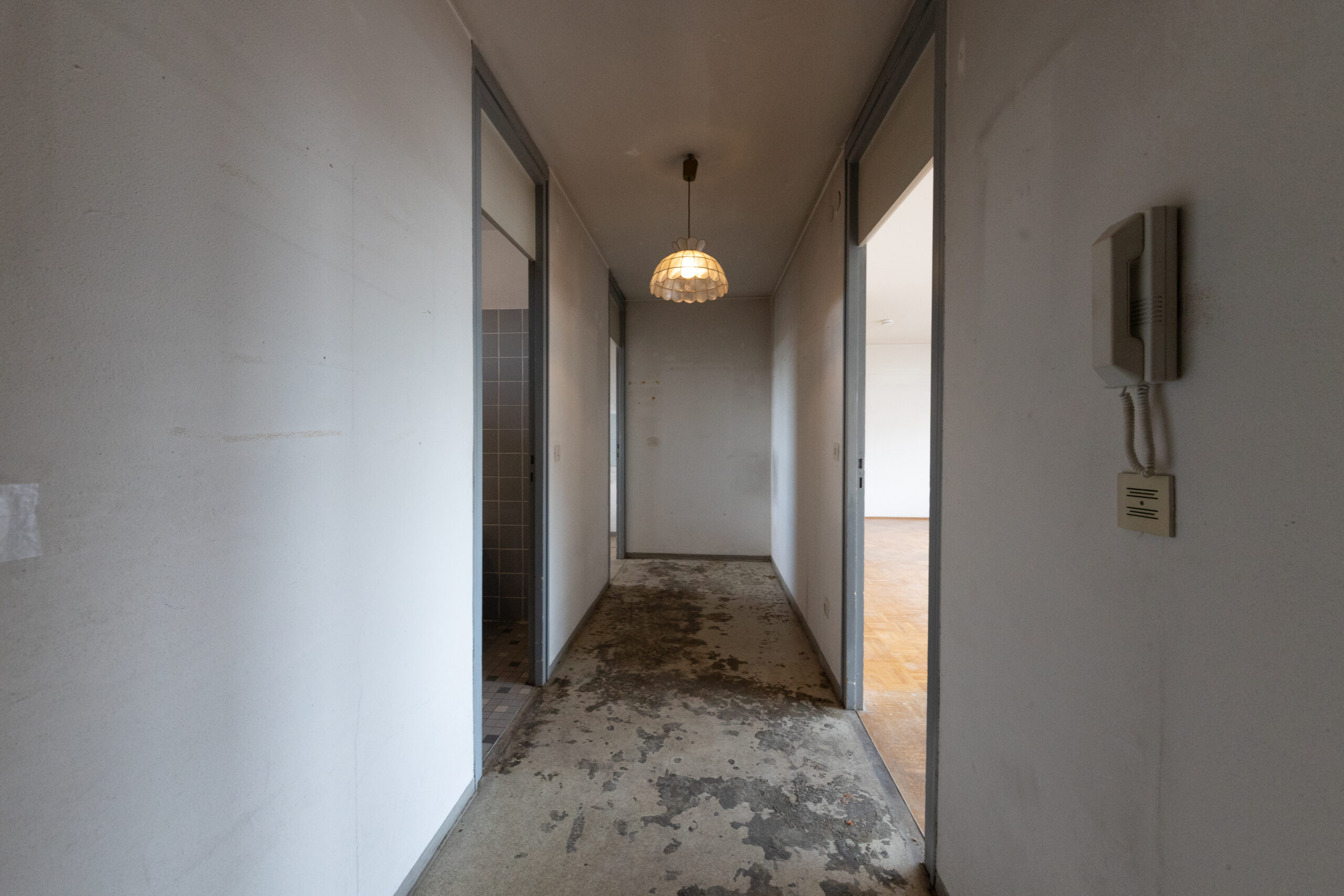Before image alt